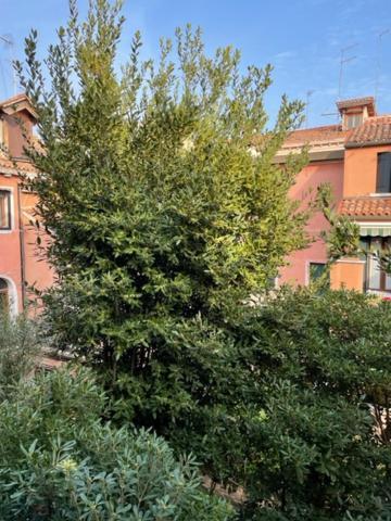 Ca' Della Carita' Apartment Venice Exterior photo